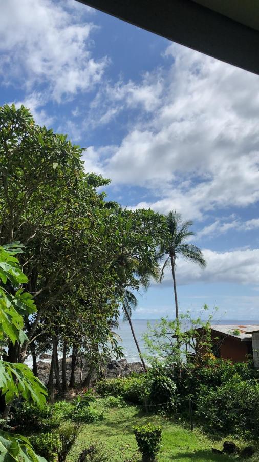 Hotel El Pargo Feliz Montezuma Zewnętrze zdjęcie