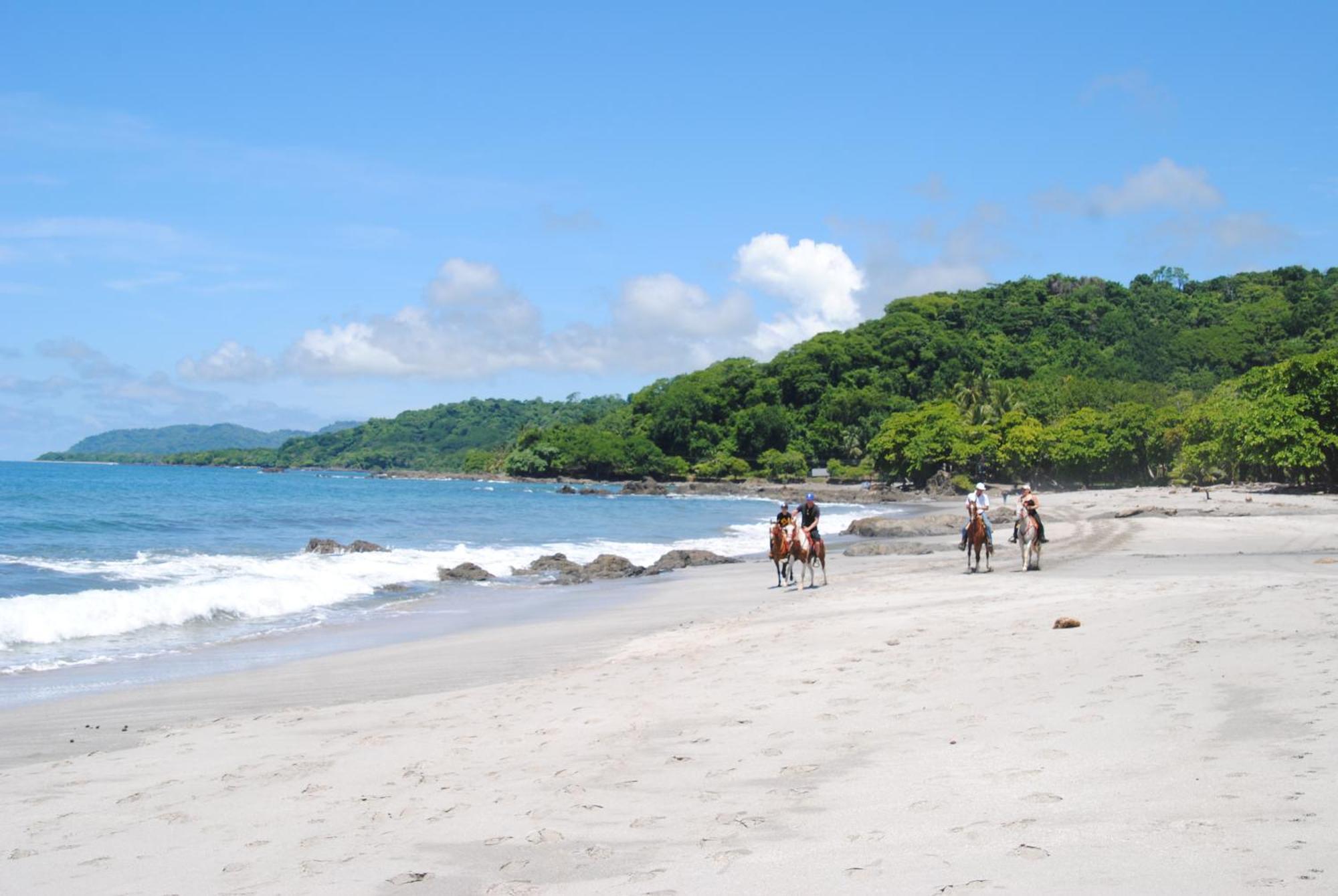 Hotel El Pargo Feliz Montezuma Zewnętrze zdjęcie